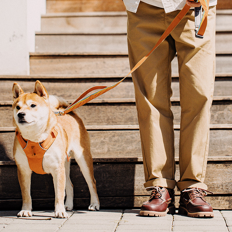 Giày thuyền nam Maden, kiểu dá - đánh giá và giá Men Formal Wear With Boots